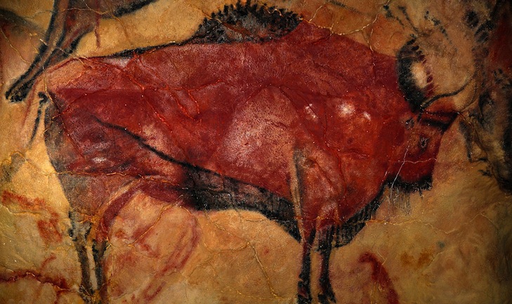 bison-1171794_1920