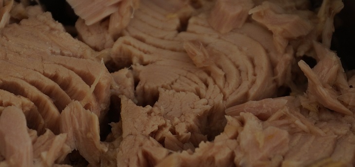 tuna-439755_1920