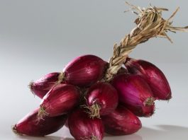 Cipolla Rossa di Tropea Calabria IGP protagonista sulle tavole del Natale