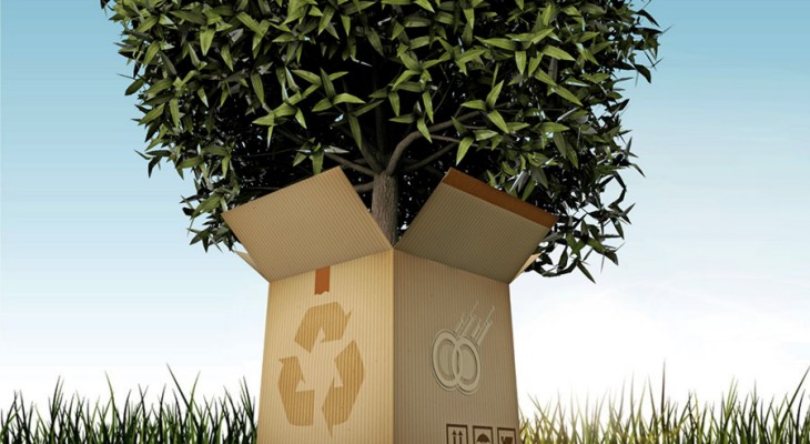 packaging sostenibili