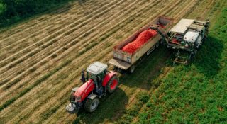 Il 2023 è stato un altro anno record per la filiera integrata del pomodoro in I...