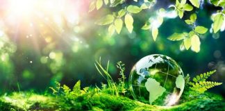 Retail sostenibile: la narrazione non basta, servono i fatti