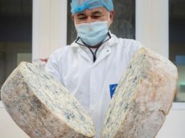 Frena l’export globale di Gorgonzola: -2,14% nel 2025