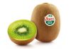 L’UE approva un claim salutistico per il kiwi verde