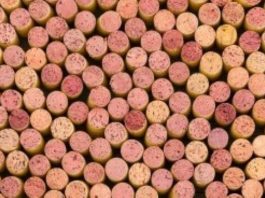 Tappi in sughero, la certificazione bio è un’opportunità