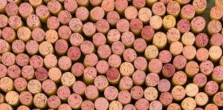 Tappi in sughero, la certificazione bio è un’opportunità